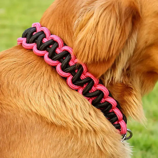 Anti-bite dog chain iron chain big dog traction rope golden retriever Nexellus