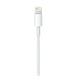 Apple lightning to usb cable (1m)