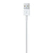 Apple lightning to usb cable (1m)
