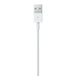 Apple lightning to usb cable (1m)