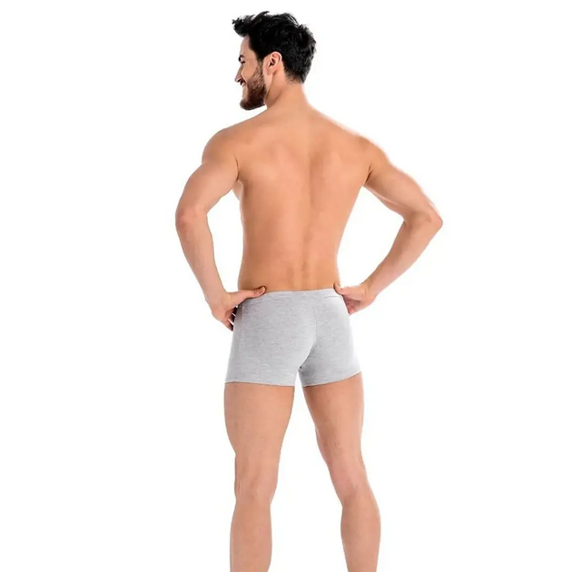 Boxers teyli
