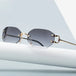 Cut Edge Small Glasses Irregular Personality Sunglasses Nexellus