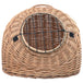 Vidaxl cat transporter 60x45x45 cm natural willow - Brown