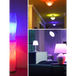 Wifi smart bulb alexa voice control rgbcw dimming color a19 bulb Nexellus